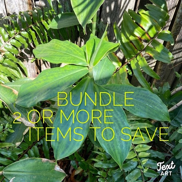 A BUNDLE = 2 or more items - Picture 4 of 16